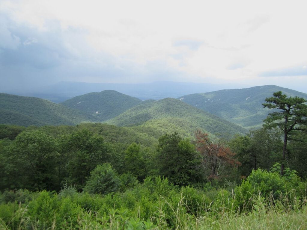 Vista linda da natureza - Advogados em BH - Ambiental
